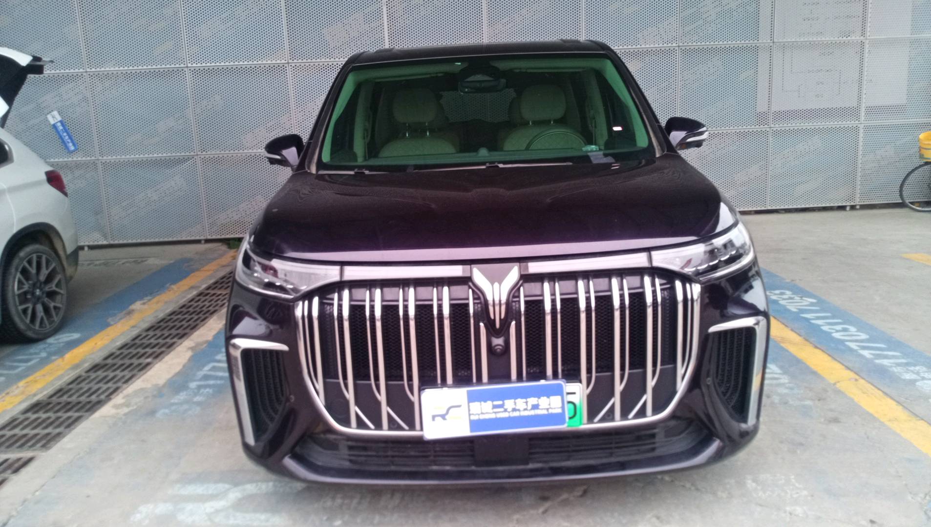 岚图汽车 梦想家 2022款 低碳版 家 二手车市场选瑞诚