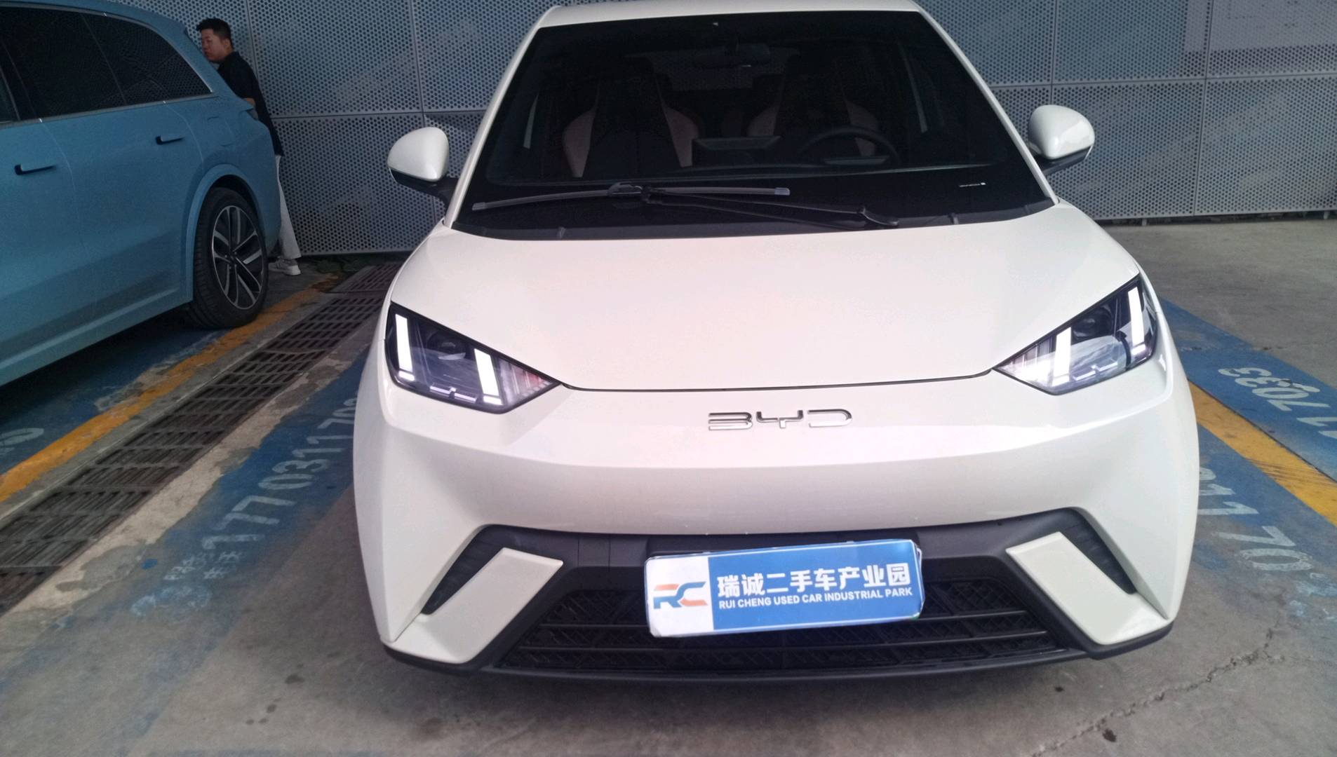 比亚迪 海鸥 2023款 自由版 二手车市场选瑞诚