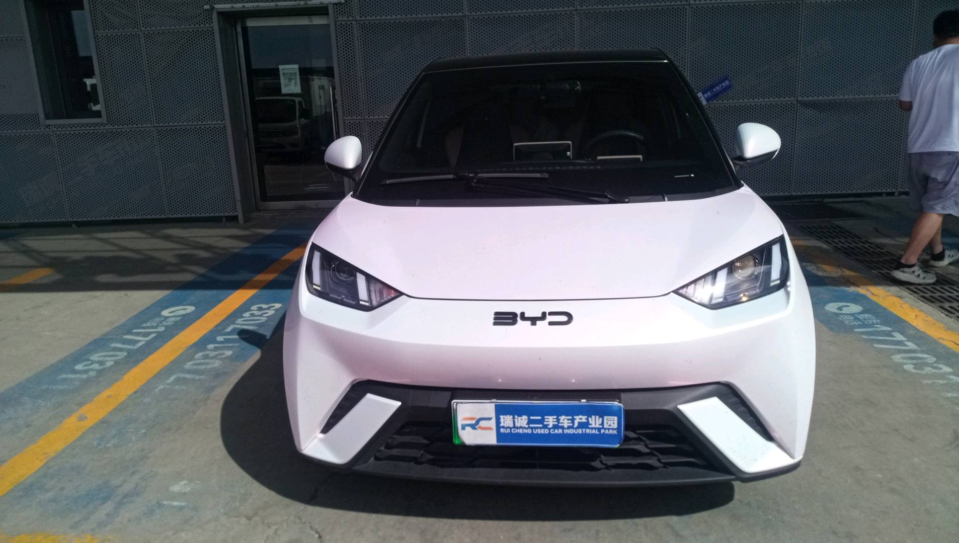 比亚迪 海豚 2024款 荣耀版 420km 自由版 二手车市场选瑞诚