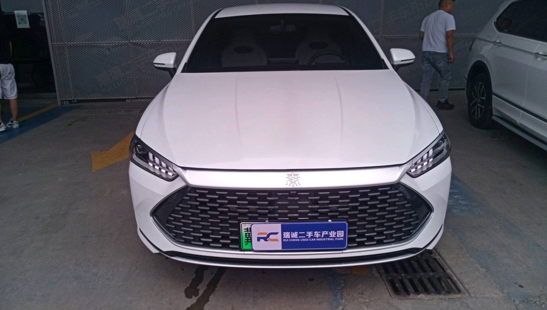 比亚迪 秦L 2024款 DM-i 120KM领先型 二手车市场选瑞诚